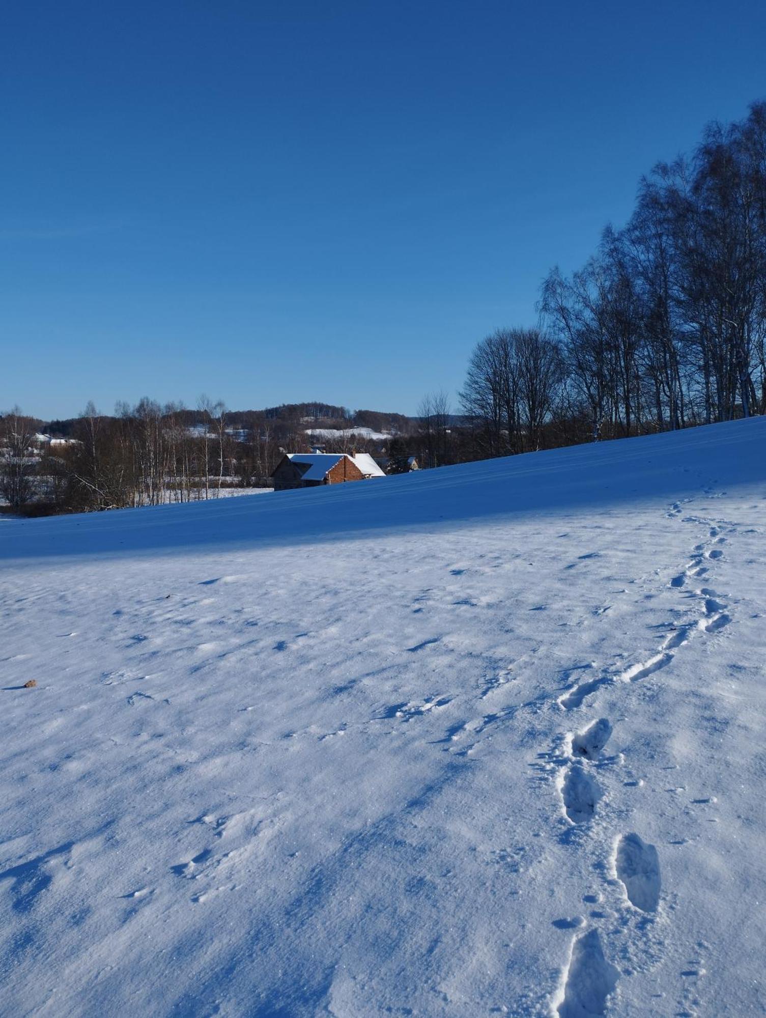 Zimmeruv Statek Mikulášovice Exterior foto