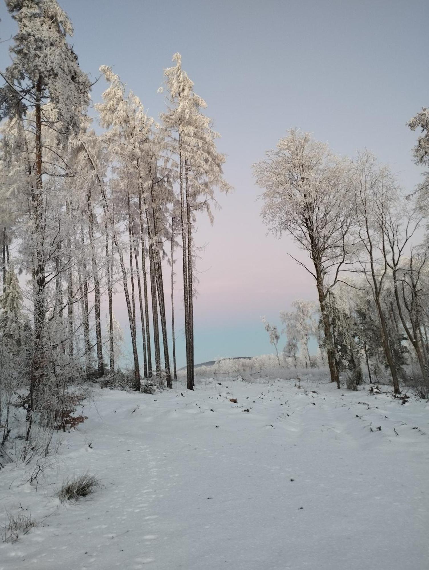 Zimmeruv Statek Mikulášovice Exterior foto